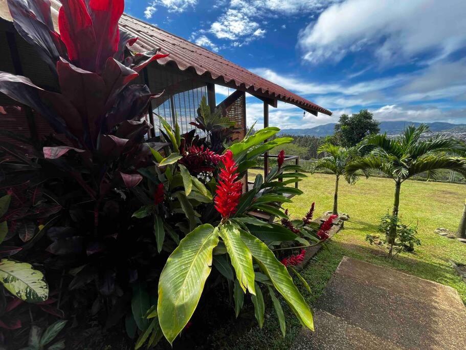 Chalet Zen Bella Vista San Juan  Kültér fotó